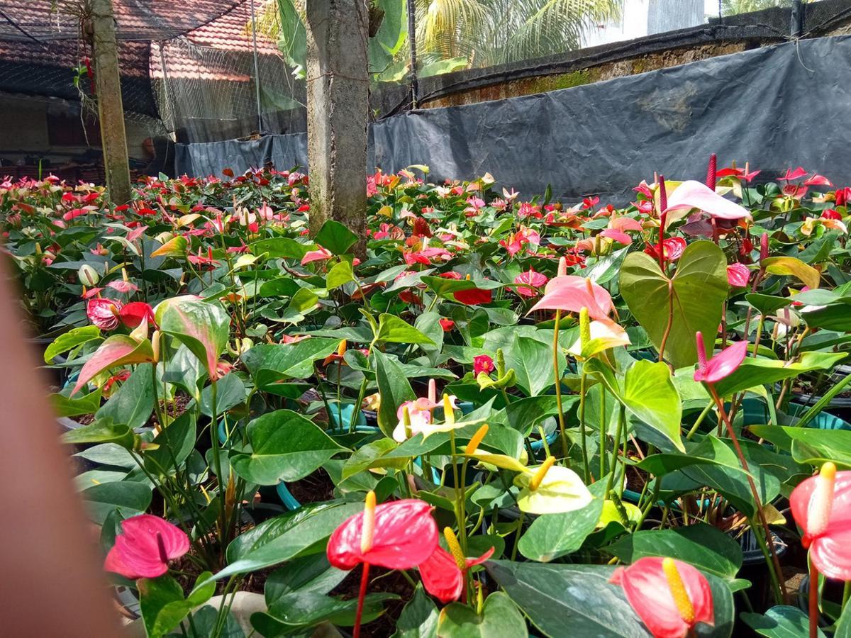 Muru'S Place Dikwella Ngoại thất bức ảnh